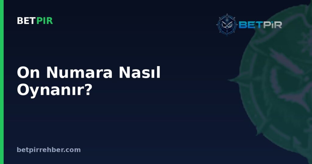 On Numara Nasıl Oynanır? Sayı Seçimi, Kupon ve Kazanma Mantığı Anlatımı